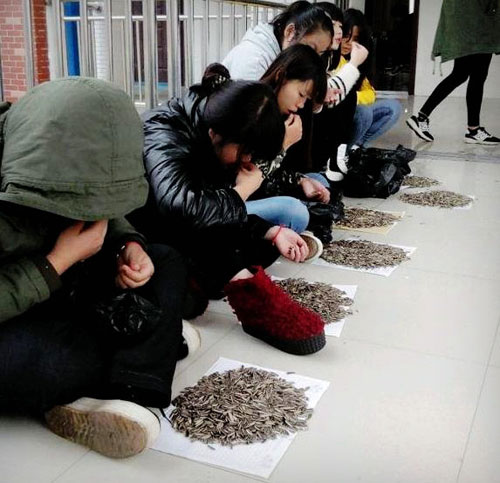 ครูดัดนิสัยนักเรียน ให้แทะเมล็ดทานตะวันกว่า 50 กก. ฐานกินขนมในห้อง ครูดัดนิสัยนักเรียน ให้แทะเมล็ดทานตะวันกว่า 50 กก. ฐานกินขนมในห้อง