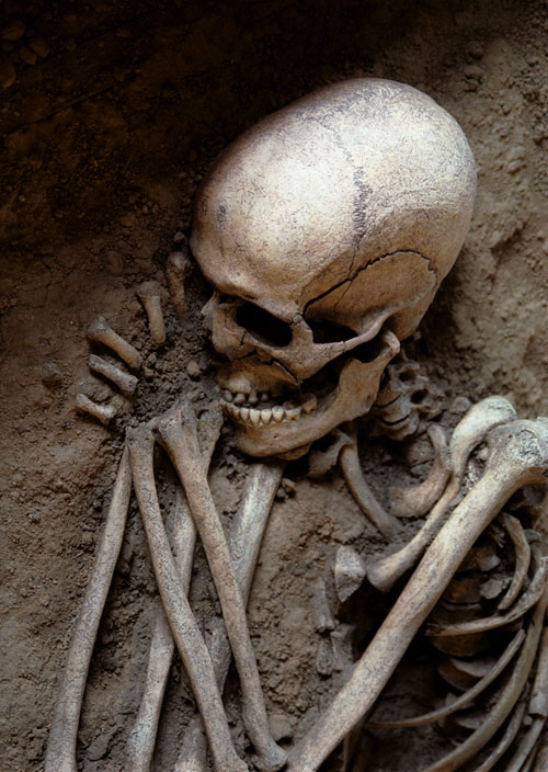 ขุดเจอซากมนุษย์โบราณ 2,000 ปี ที่ จ.สตูล เผยมีเด็กมาเข้าฝัน ขุดเจอซากมนุษย์โบราณ 2,000 ปี ที่ จ.สตูล เผยมีเด็กมาเข้าฝัน