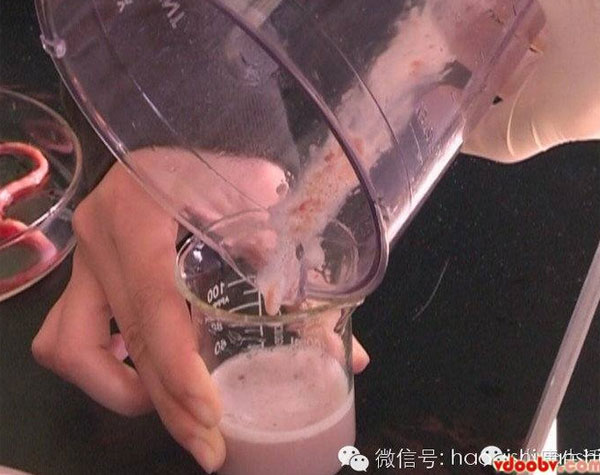 พยาธิตัวจี้ด ภัยร้ายที่ซ่อนตัวในปลาไหล ที่แม้แต่ความร้อนยังฆ่าไม่ตาย พยาธิตัวจี้ด ภัยร้ายที่ซ่อนตัวในปลาไหล ที่แม้แต่ความร้อนยังฆ่าไม่ตาย