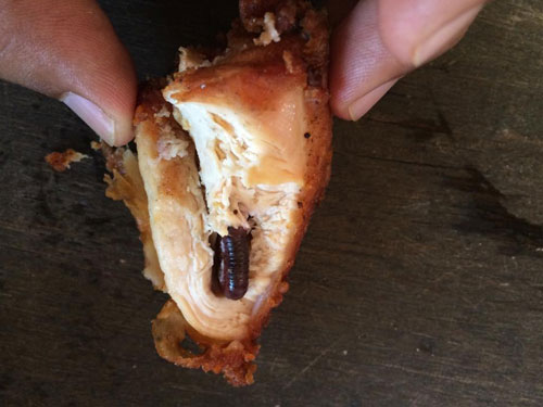 ผงะ...เจอกิ้งกือซุกในไก่ทอด ชาวเน็ตถามกลับ ยัดใส่เองหรือเปล่า ? ผงะ...เจอกิ้งกือซุกในไก่ทอด ชาวเน็ตถามกลับ ยัดใส่เองหรือเปล่า ?