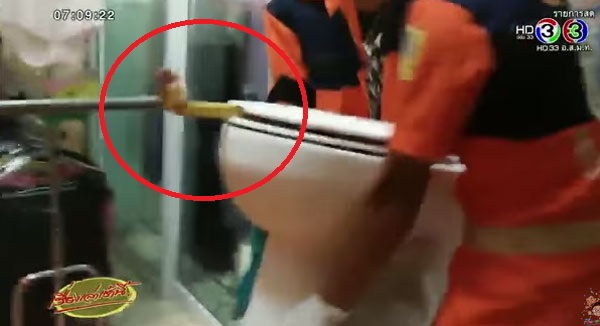 สาวเห็นก้อนดำในชักโครกคิดว่าอึ พอดูดี ๆ ถึงกับผงะ แม่เจ้าหัวงูเหลือมโผล่ สาวเห็นก้อนดำในชักโครกคิดว่าอึ พอดูดี ๆ ถึงกับผงะ แม่เจ้าหัวงูเหลือมโผล่