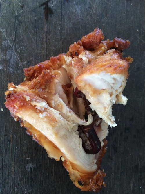 ผงะ...เจอกิ้งกือซุกในไก่ทอด ชาวเน็ตถามกลับ ยัดใส่เองหรือเปล่า ? ผงะ...เจอกิ้งกือซุกในไก่ทอด ชาวเน็ตถามกลับ ยัดใส่เองหรือเปล่า ?