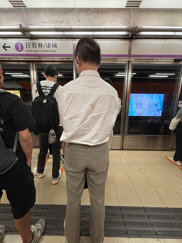 จิ้งจกเกาะเสื้อผู้ชาย จิ้งจกเกาะเสื้อผู้ชาย