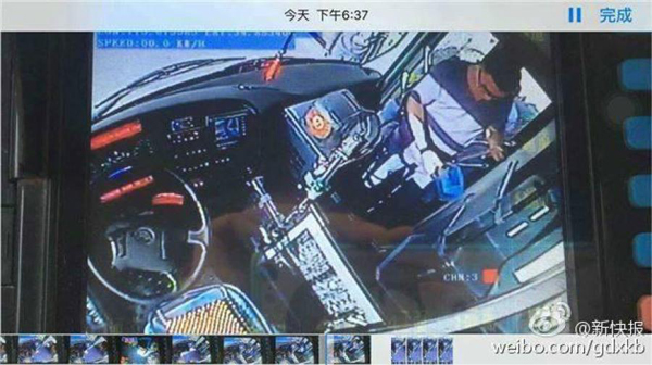 แตกตื่นทั้งคัน หนุ่มโยนงูใส่รถเมล์แล้ววิ่งหนี หลังถูกห้ามเอาขึ้นรถ แตกตื่นทั้งคัน หนุ่มโยนงูใส่รถเมล์แล้ววิ่งหนี หลังถูกห้ามเอาขึ้นรถ