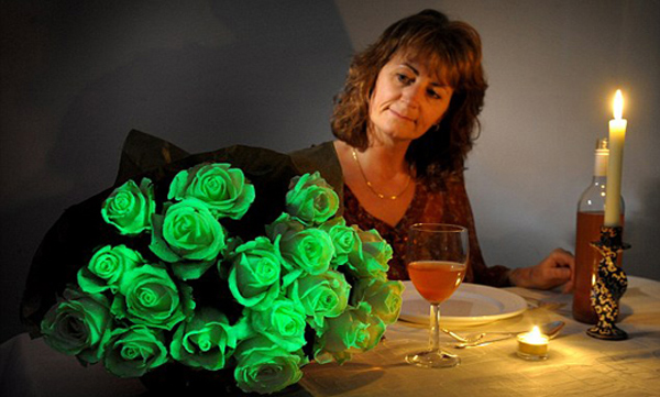 ฮาโลวีน