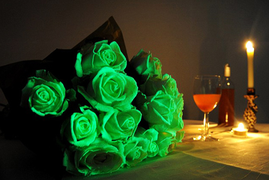 ฮาโลวีน