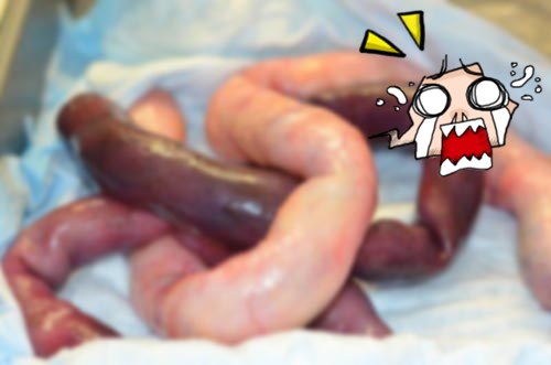 หญิงยัดลำไส้สามีผู้ล่วงลับ หญิงยัดลำไส้สามีผู้ล่วงลับ