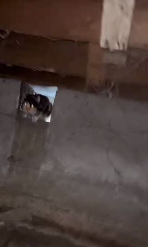 โน้ตหน้าประตูบ้าน โน้ตหน้าประตูบ้าน