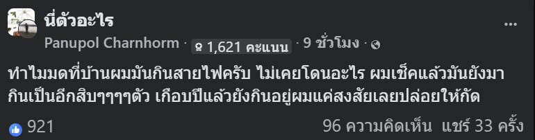 มดกินสายไฟ มดกินสายไฟ