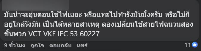 มดกินสายไฟ มดกินสายไฟ