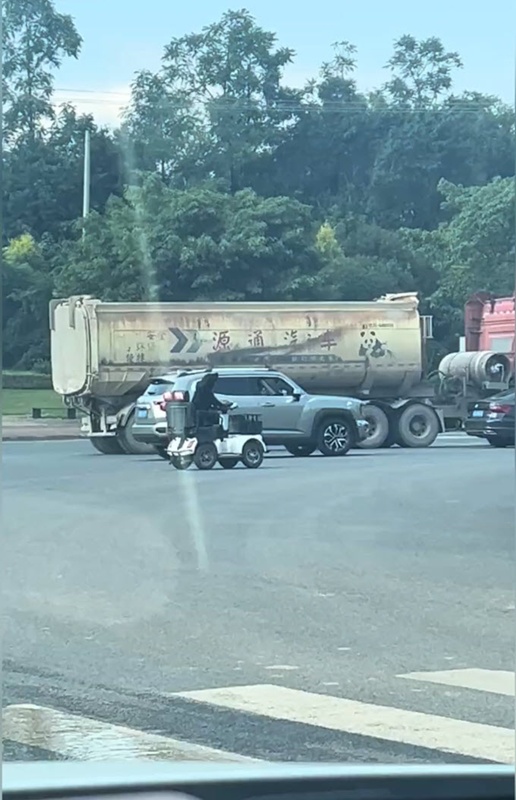 หมาดำซิ่งรถบนถนน หมาดำซิ่งรถบนถนน