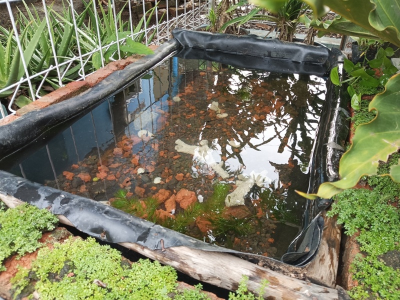 เด็ก 1 ขวบจมบ่อในโรงเรียนอนุบาล เด็ก 1 ขวบจมบ่อในโรงเรียนอนุบาล