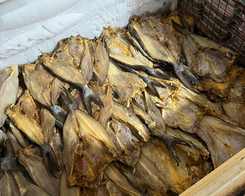 ปลาเค็ม ปลาเค็ม