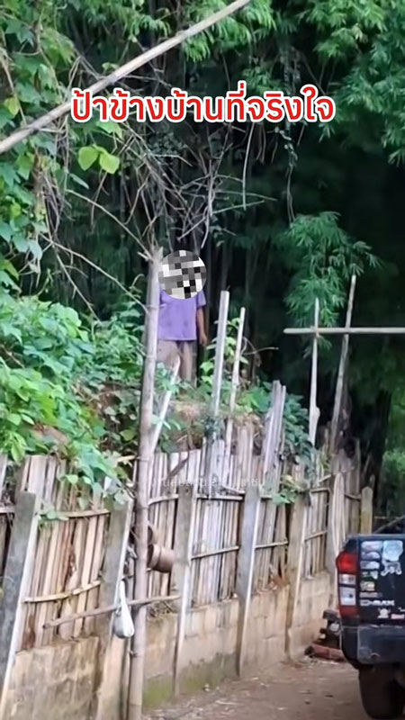 ป้าข้างบ้าน ป้าข้างบ้าน