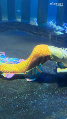 นางเงือกเป็นลม นางเงือกเป็นลม