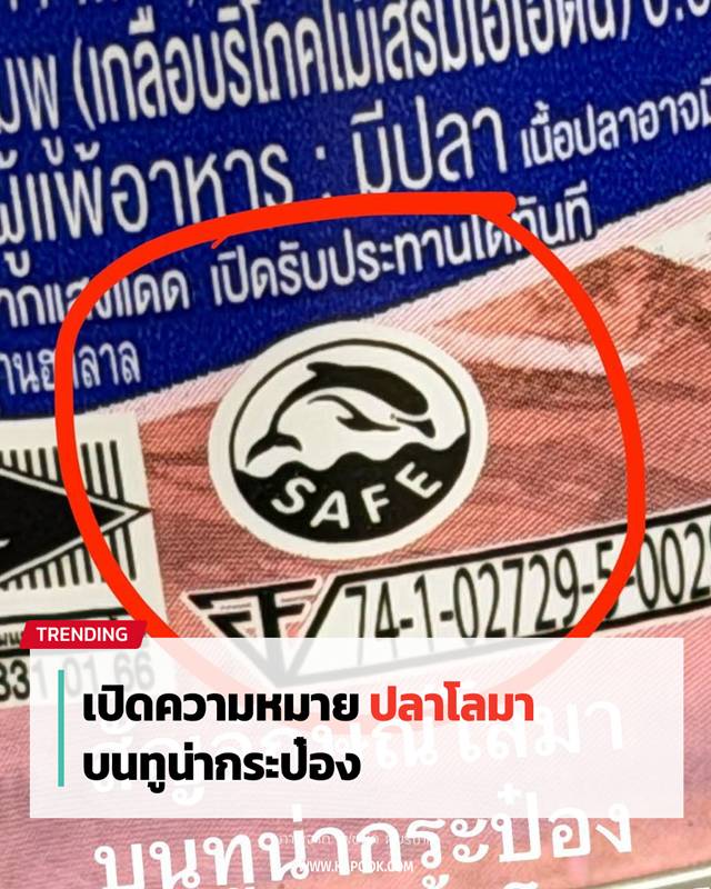 ปลาโลมา บนทูน่ากระป๋อง ปลาโลมา บนทูน่ากระป๋อง