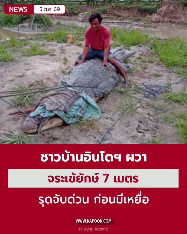 จระเข้ยักษ์ จระเข้ยักษ์