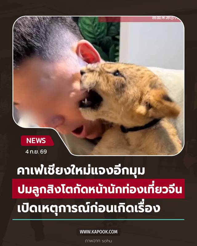ลูกสิงโตกัดหน้า ลูกสิงโตกัดหน้า