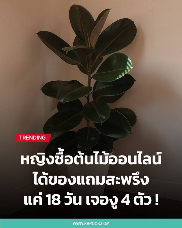 จับงู จับงู