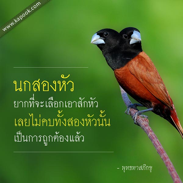 พุทธทาสภิกขุ พุทธทาสภิกขุ