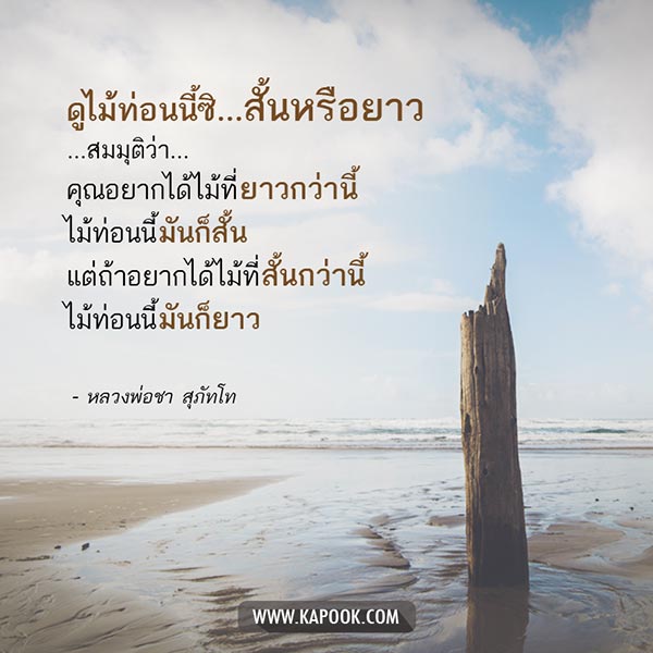 หลวงพ่อชา สุภัทโท หลวงพ่อชา สุภัทโท