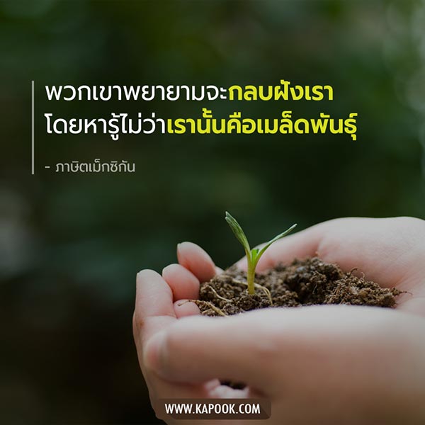 คำคม ข้อคิด คำคม ข้อคิด