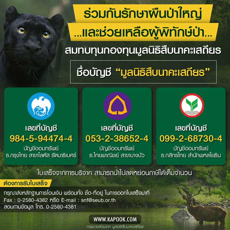 สืบ นาคะเสถียร สืบ นาคะเสถียร