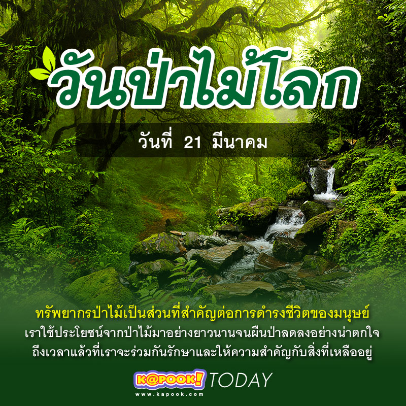 วันป่าไม้โลก 21 มีนาคม 2568 วันป่าไม้โลก