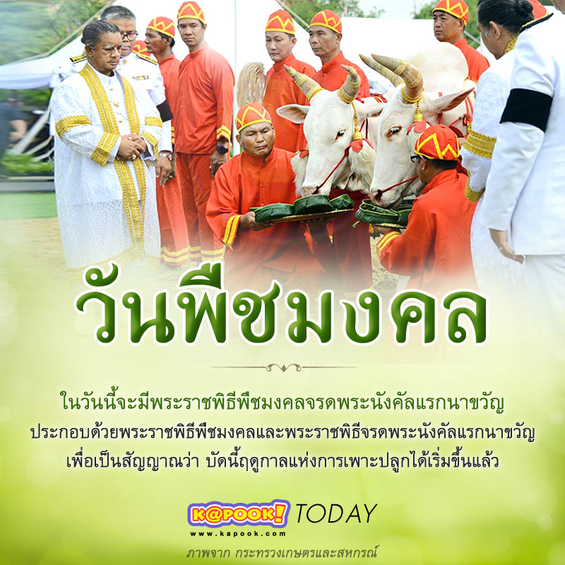 วันพืชมงคล วันพืชมงคล