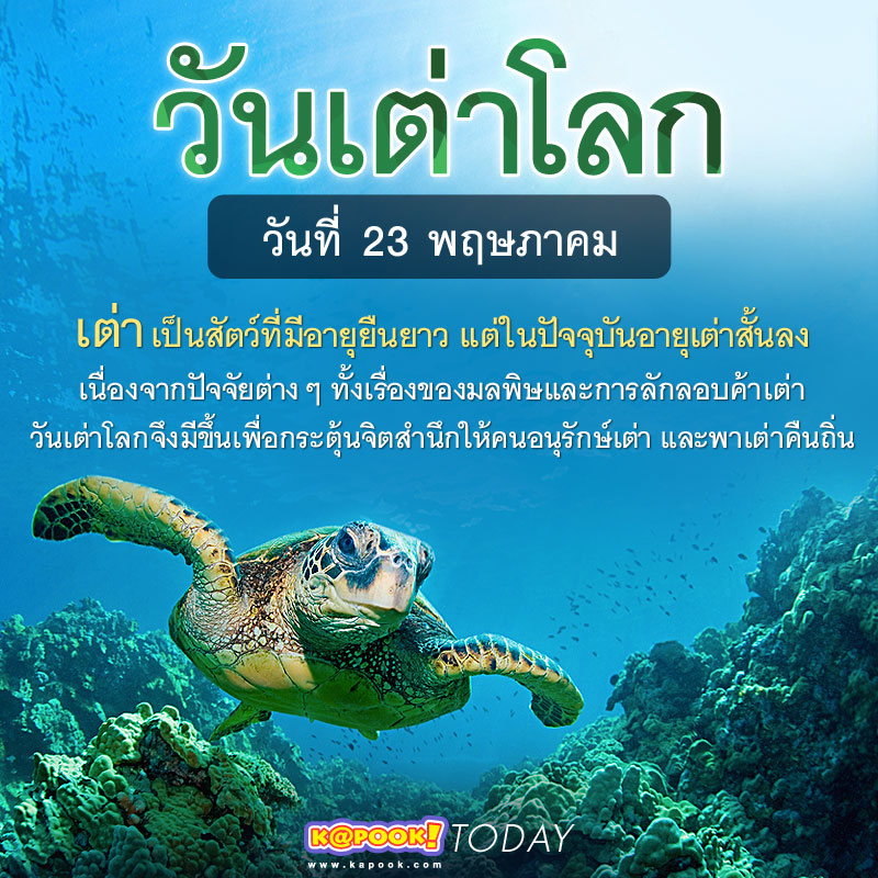 วันเต่าโลก วันเต่าโลก
