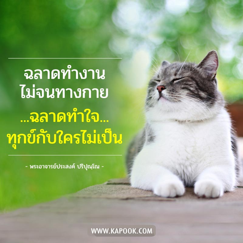 พระอาจารย์ประสงค์ ปริปุณฺโณ พระอาจารย์ประสงค์ ปริปุณฺโณ