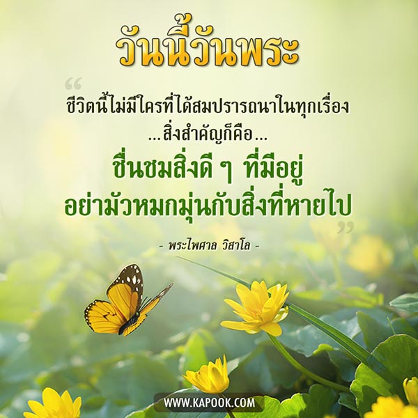 พระไพศาล วิสาโล พระไพศาล วิสาโล