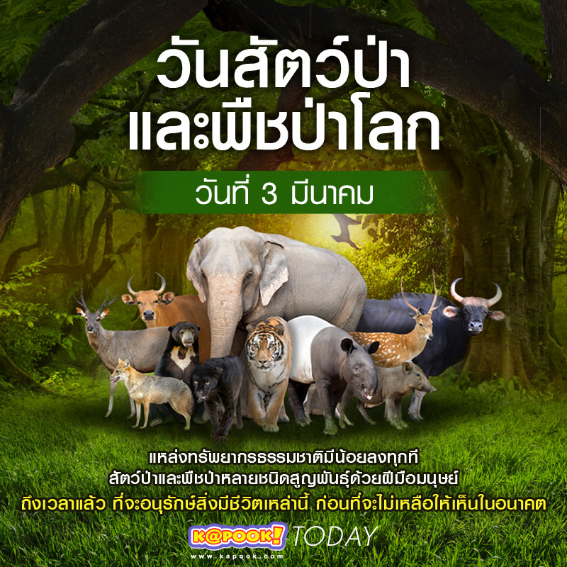 วันสัตว์ป่าและพืชป่าโลก วันสัตว์ป่าและพืชป่าโลก