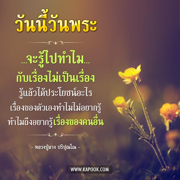 หลวงปู่ผาง ปริปุณโณ หลวงปู่ผาง ปริปุณโณ