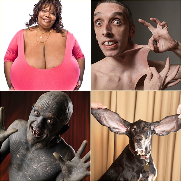 16 สุดยอดสถิติโลก ฉลองครบรอบ 60 ปี กินเนสส์ เวิลด์ เรคคอร์ด 16 สุดยอดสถิติโลก ฉลองครบรอบ 60 ปี กินเนสส์ เวิลด์ เรคคอร์ด