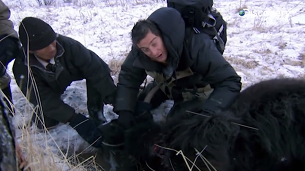 แบร์ กริลส์ แบร์ กริลส์