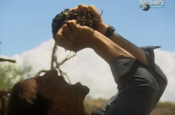 แบร์ กริลส์ แบร์ กริลส์