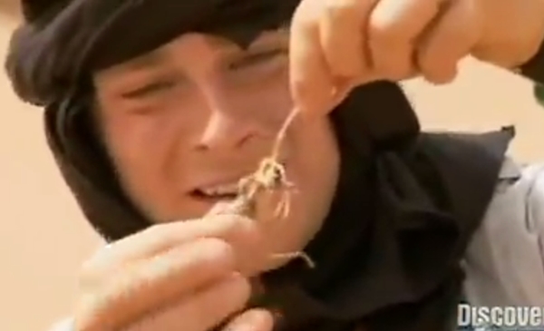 แบร์ กริลส์ แบร์ กริลส์