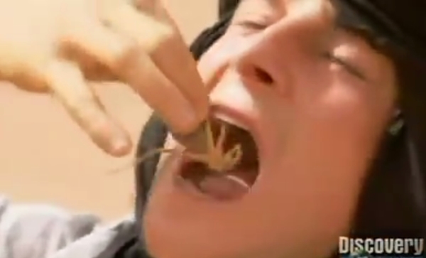 แบร์ กริลส์ แบร์ กริลส์