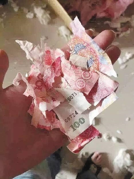 พ่อบ้านใจกล้าแอบเมียซ่อนเงินในผ้าห่ม พ่อบ้านใจกล้าแอบเมียซ่อนเงินในผ้าห่ม