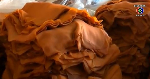 ยางพารา ยางพารา