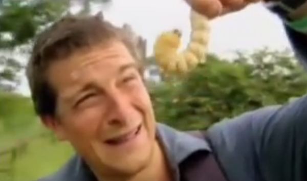 แบร์ กริลส์ แบร์ กริลส์