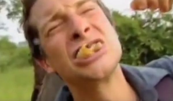 แบร์ กริลส์ แบร์ กริลส์