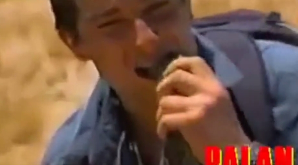 แบร์ กริลส์ แบร์ กริลส์