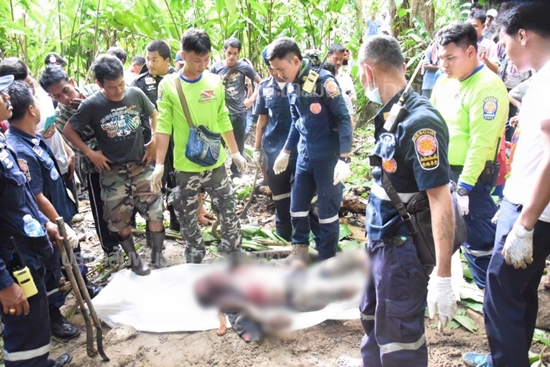 ข่าว ฆ่าข่มขืนพัทลุง ข่าว ฆ่าข่มขืนพัทลุง