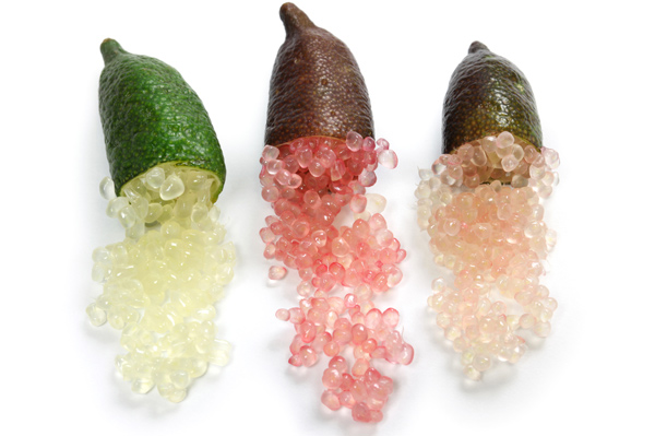 มะนาวนิ้วมือ มะนาวนิ้วมือ