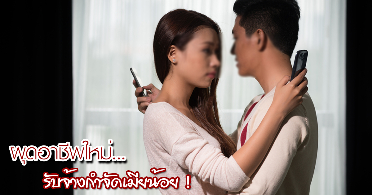 อาชีพกำจัดเมียน้อย อาชีพกำจัดเมียน้อย