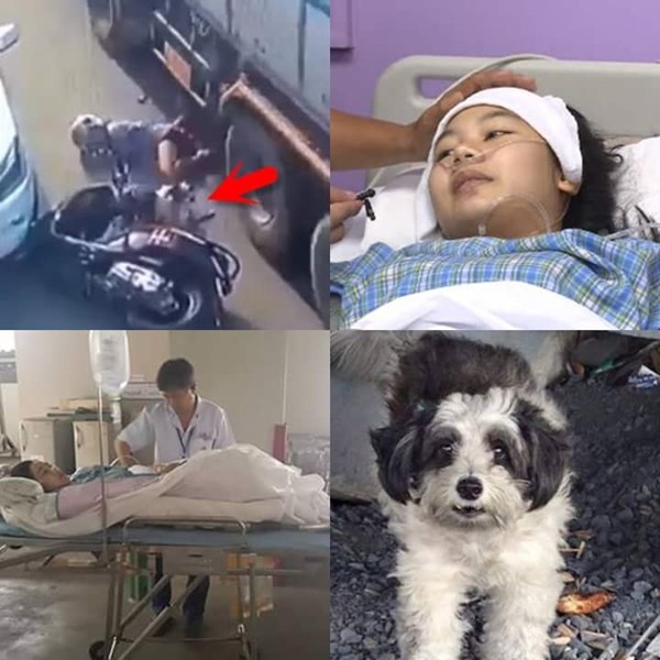 พิมลภัส กุลแก้ว พิมลภัส กุลแก้ว