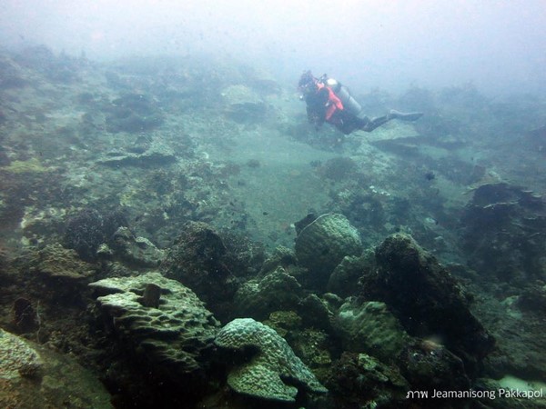 เกาะโลซิน เกาะโลซิน