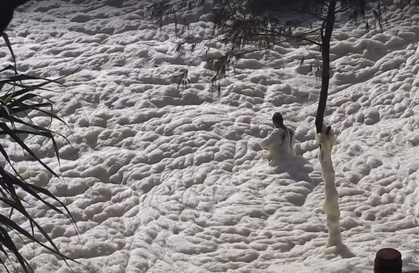 ชายยืนให้คลื่นโฟมซัด กลางปรากฏการณ์ทะเลโฟมในออสเตรเลีย ชายยืนให้คลื่นโฟมซัด กลางปรากฏการณ์ทะเลโฟมในออสเตรเลีย